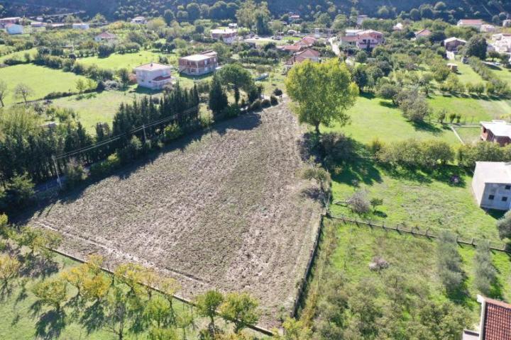 Plot in Polje, Bar