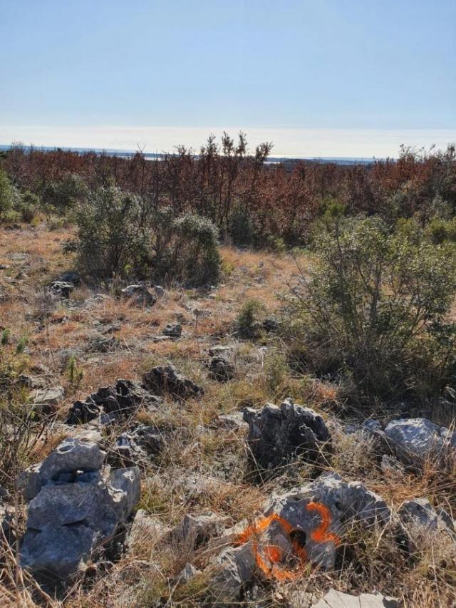 Zemljiste 17 926 m2 Zoganje, Ulcinj