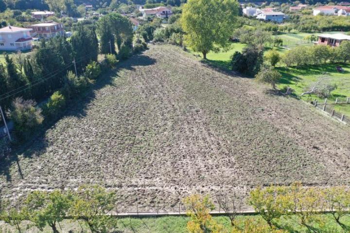 Plot in Polje, Bar