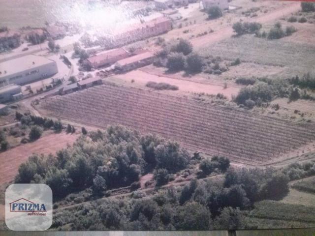 Voćnjak nadriven i zaštićen zaštitnom ogradom sa pomoćnim objektom