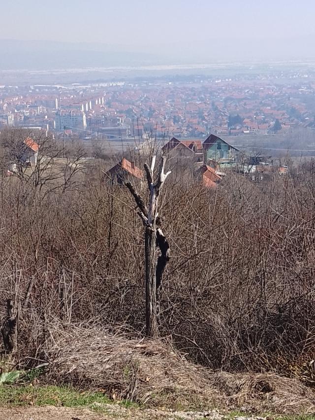 Vikendica na Hisar