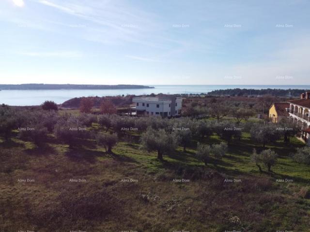 Wohnung Wohnung mit Dachterrasse - Residenz Novi Home Novigrad