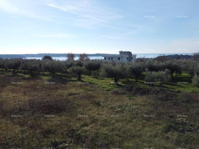 Wohnung Wohnung mit Dachterrasse - Residenz Novi Home Novigrad