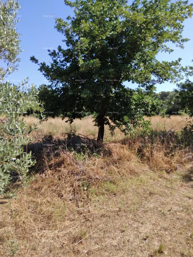 Građevinsko zemljište PULA BUSOLER građevinsko - poljoprivredni  teren. 