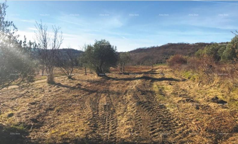 Bauland Abglegenes Dorf mit Bauland zu verkaufen.