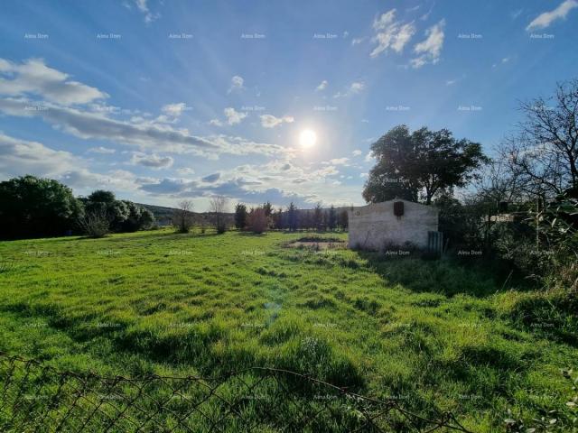 Building land Building land for sale - Volme