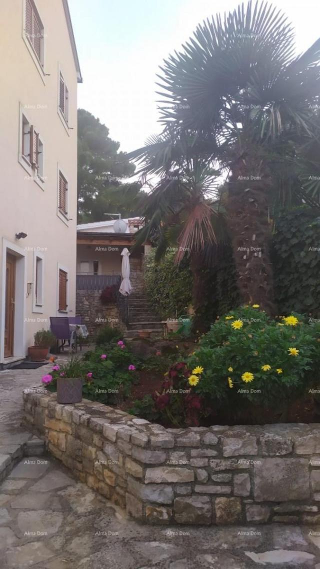 Haus Ein Appartmenthaus in Herzem Rovinj nur 200 m von Meer