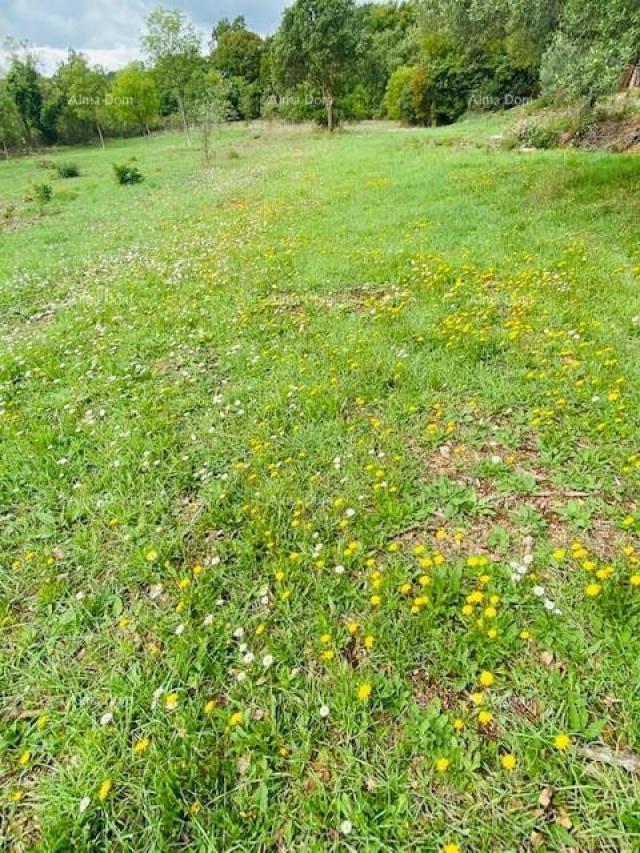 Građevinsko zemljište Građevinska parcela, blizina Krnice!