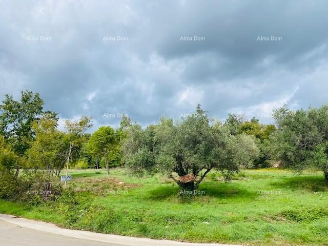 Building land Plot near Krnica !