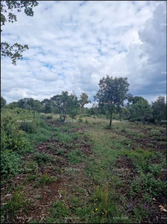 Landwirtschaftsgrundstück