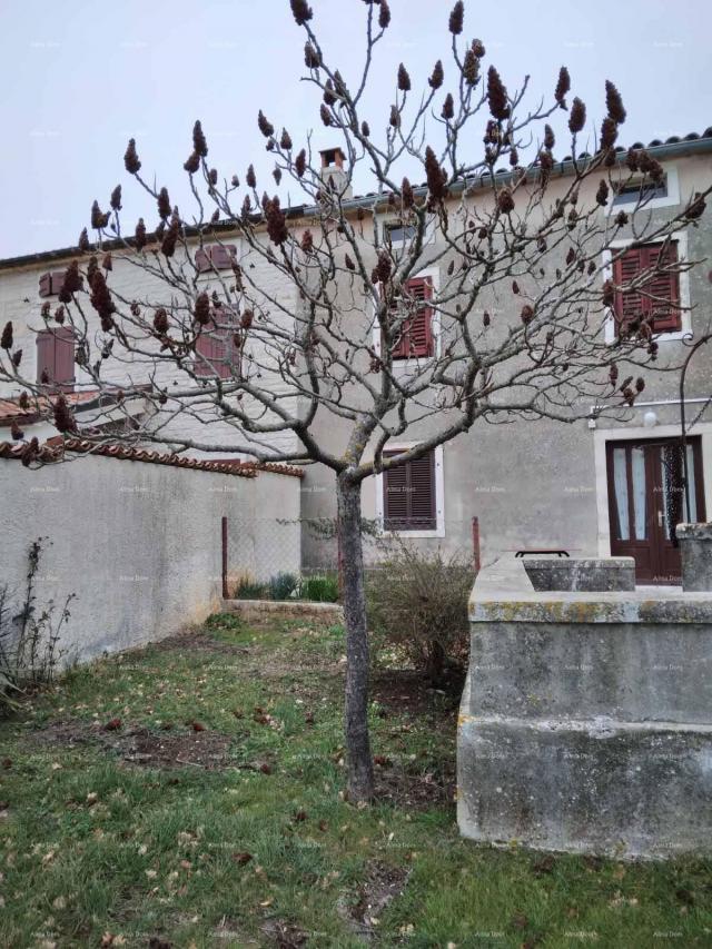 House Istrian house with a large yard