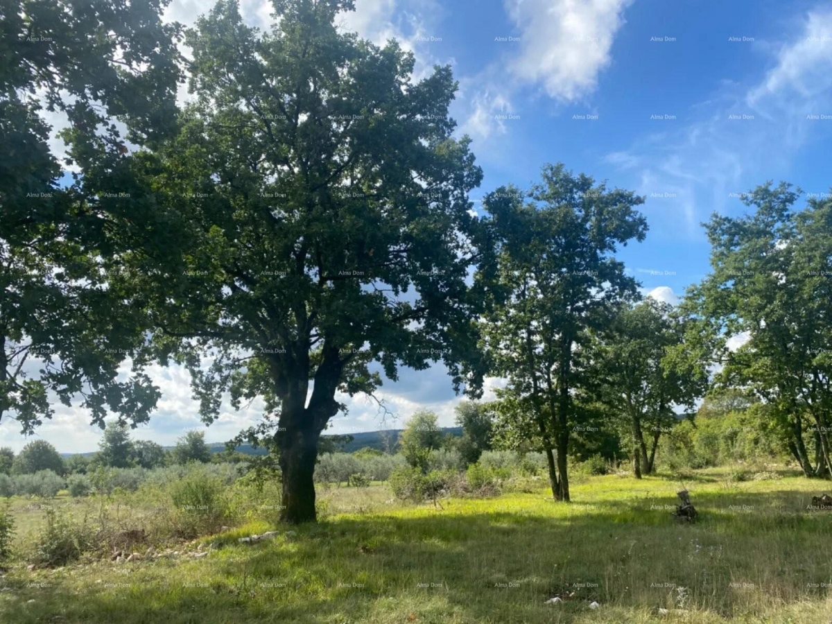 Bauland Bauland zum Verkauf - Barban, Manjadvorci