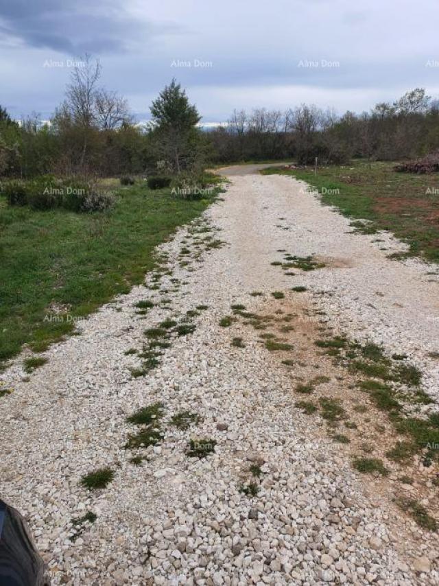 Poljoprivredno zemljište Prodaja poljoprivrednog zemljišta, Marčana