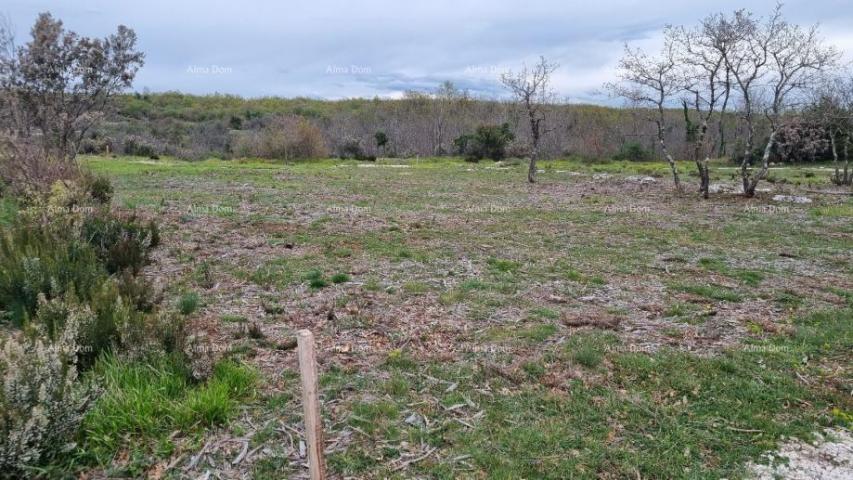 Poljoprivredno zemljište Prodaja poljoprivrednog zemljišta, Marčana