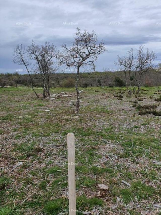 Poljoprivredno zemljište Prodaja poljoprivrednog zemljišta, Marčana