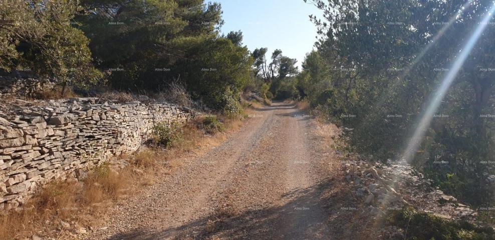 Bauland Bauland zum Verkauf, Korčula