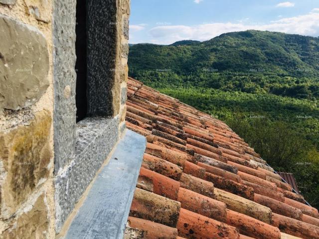 House House in Motovun