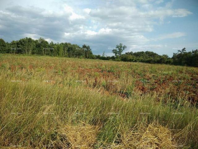 Agricultural land Agricultural land for sale in Bibići