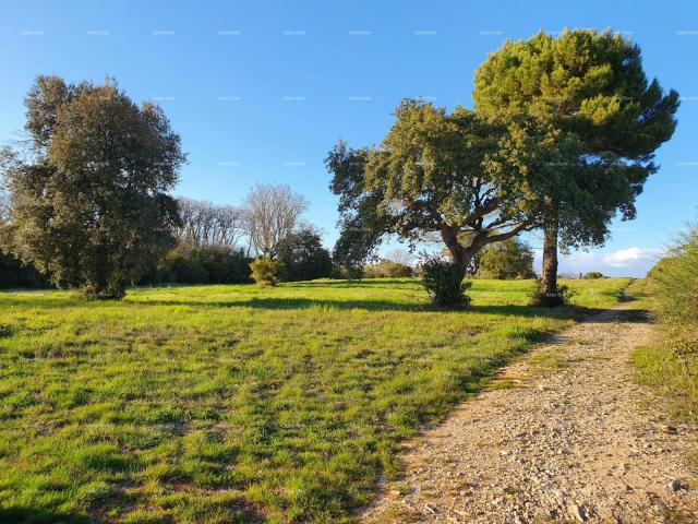 Landwirtschaftsgrundstück Verkauf von landwirtschaftlichen Flächen, Pula, Montešerpo