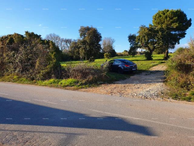 Poljoprivredno zemljište Prodaja poljoprivrednih zemljišta, Pula, Montešerpo