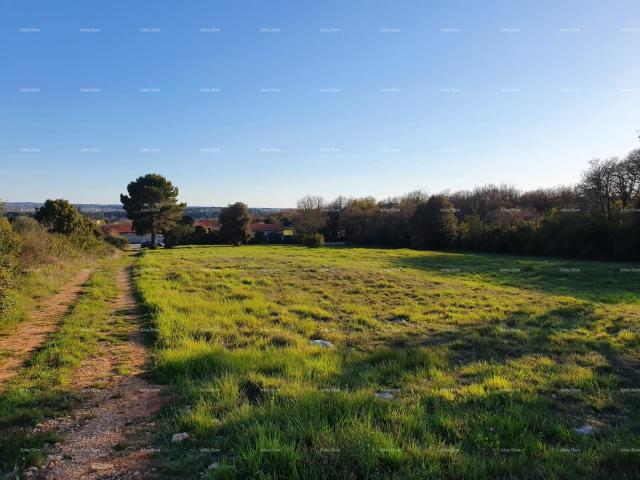 Landwirtschaftsgrundstück Verkauf von landwirtschaftlichen Flächen, Pula, Montešerpo