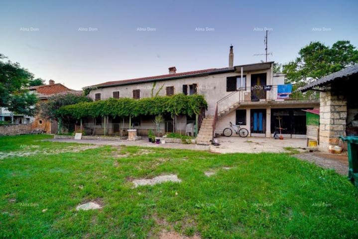 House Old stone house in Istria, Buje