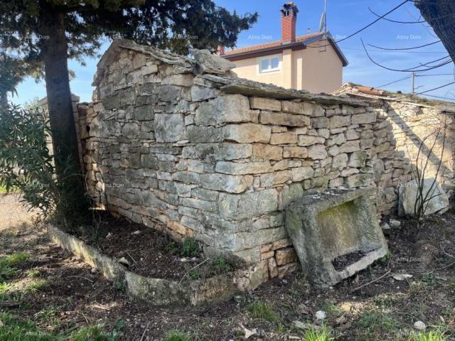 House Old stone house in Istria, Buje