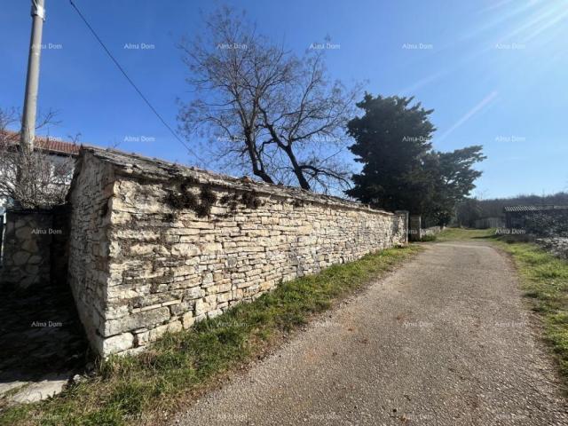 House Old stone house in Istria, Buje