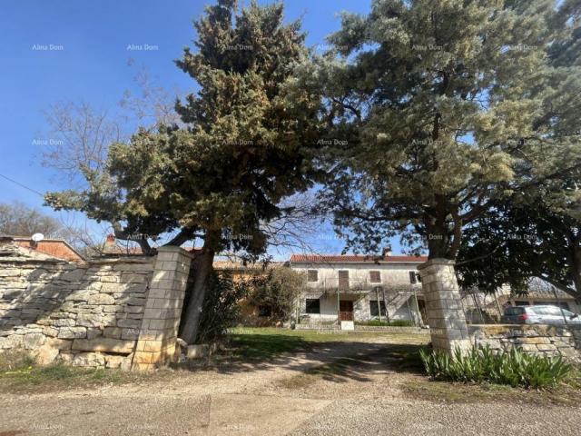 House Old stone house in Istria, Buje