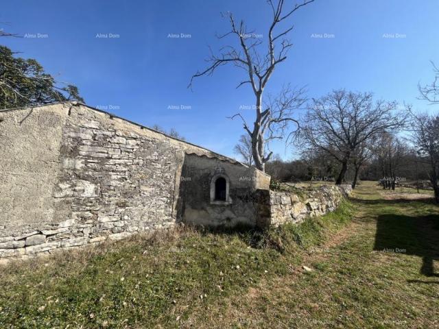 House Old stone house in Istria, Buje