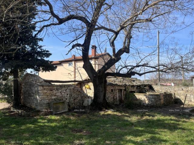 House Old stone house in Istria, Buje