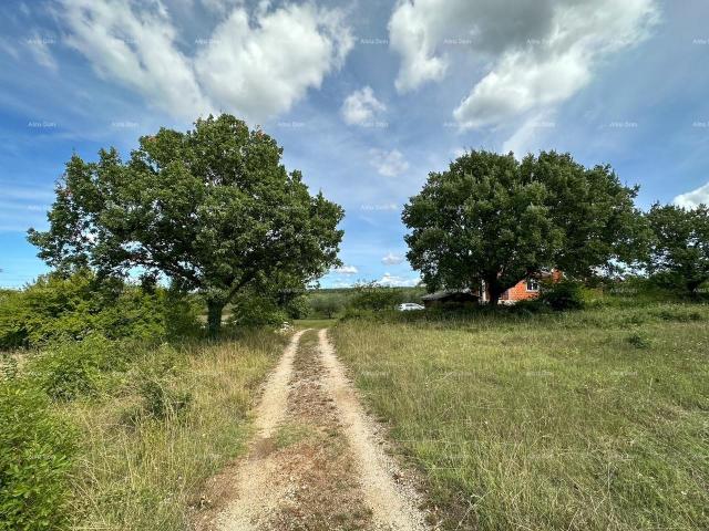 Kuća Prodaje se kuća, Vodnjan