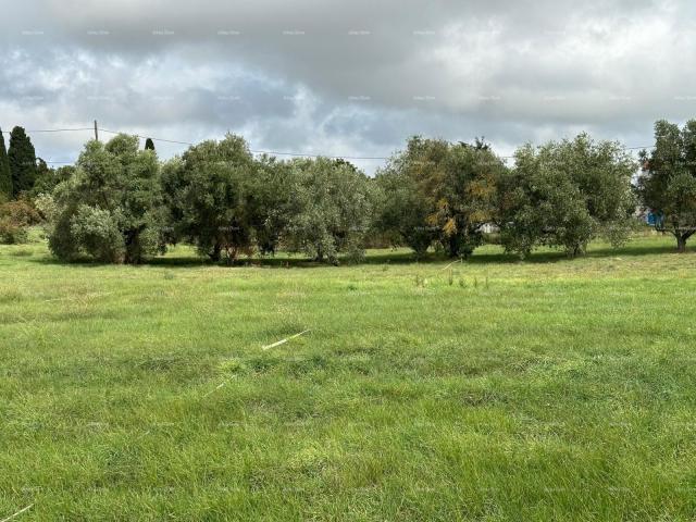 Građevinsko zemljište Prodaja građevinskog zemljišta, Pula