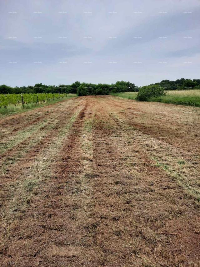 Građevinsko zemljište Prodaja građevinskog zemljišta, Muntić