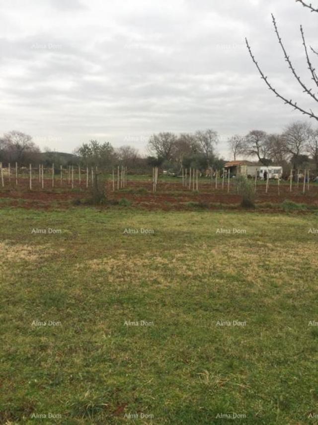 Landwirtschaftsgrundstück Ackerland zum Verkauf, Rovinj