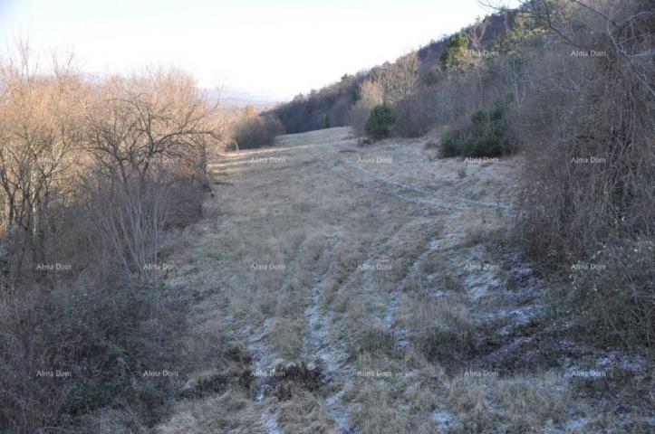 Building land Construction and agricultural land for sale, Buzet