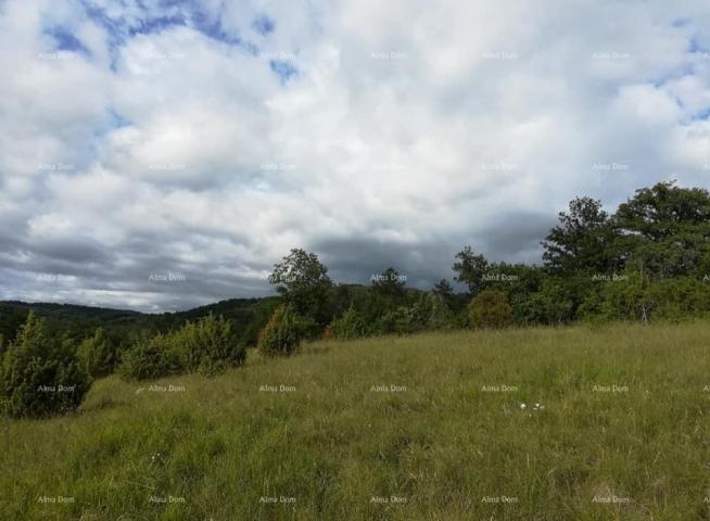 Agricultural land Agricultural land for sale, Oprtalj