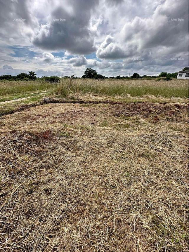 Agricultural land Agricultural land for sale, Šišan