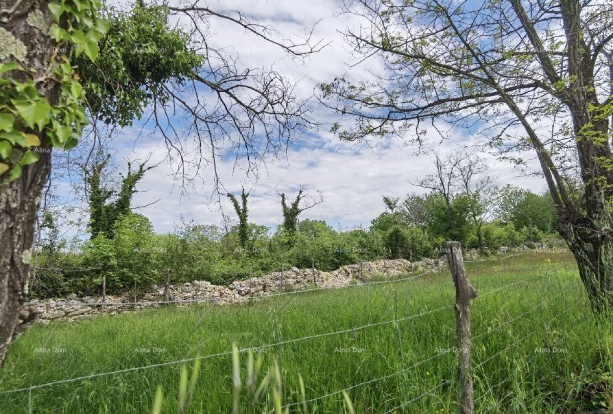 Bauland Ausgezeichnetes Bauland für Investitionen.