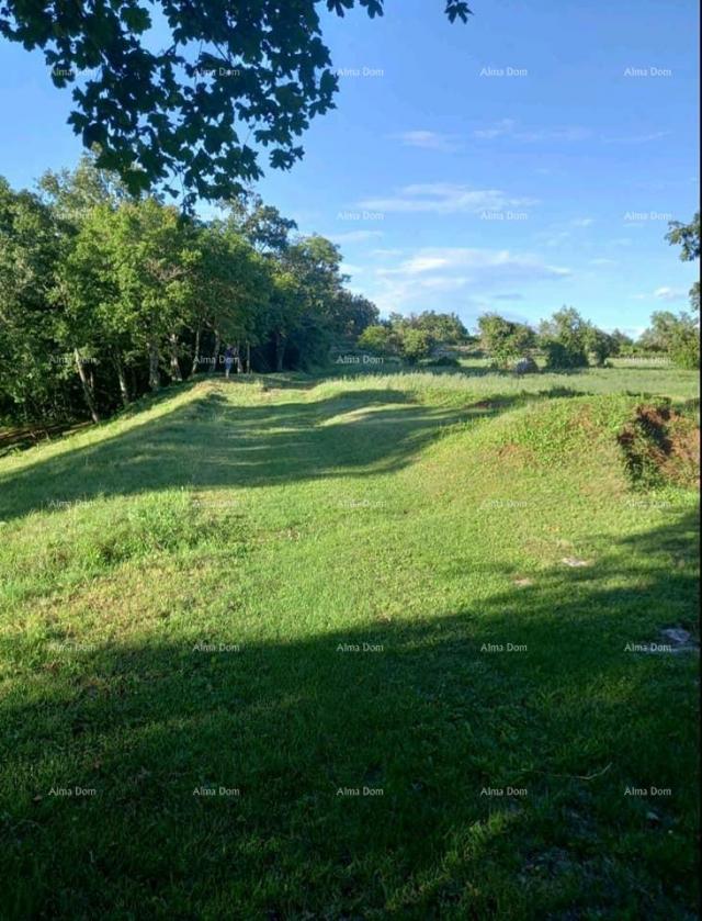 Bauland Bauland zum Verkauf in der Nähe von Pazin