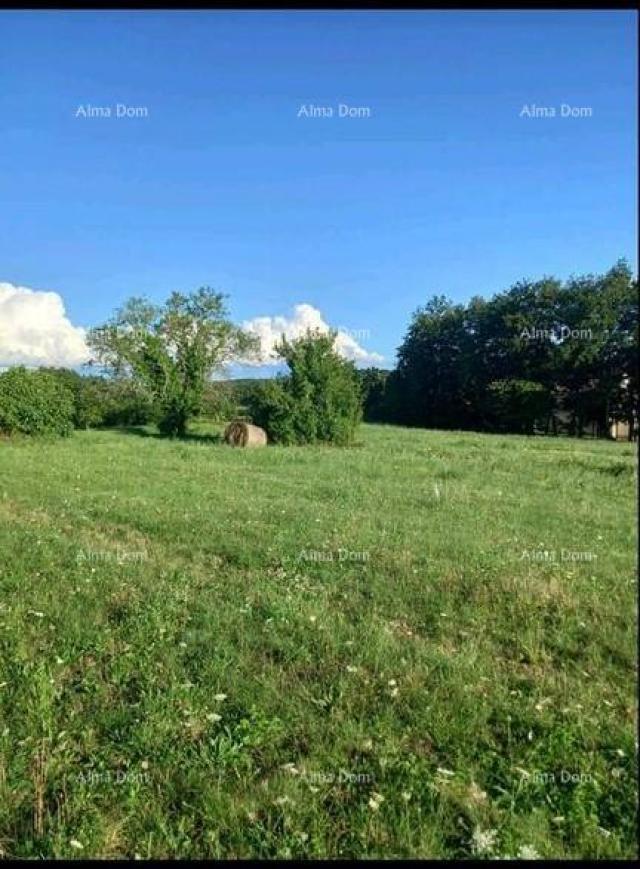 Bauland Bauland zum Verkauf in der Nähe von Pazin