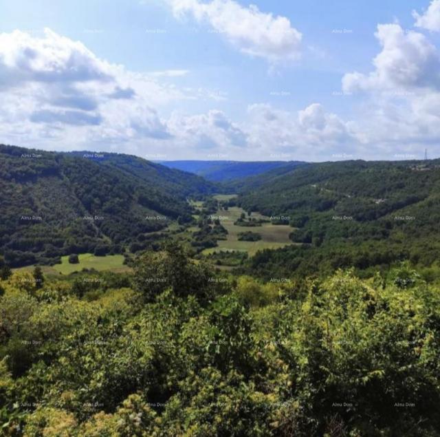 Građevinsko zemljište Gradevinsko zemljište sa projektom, Tinjan