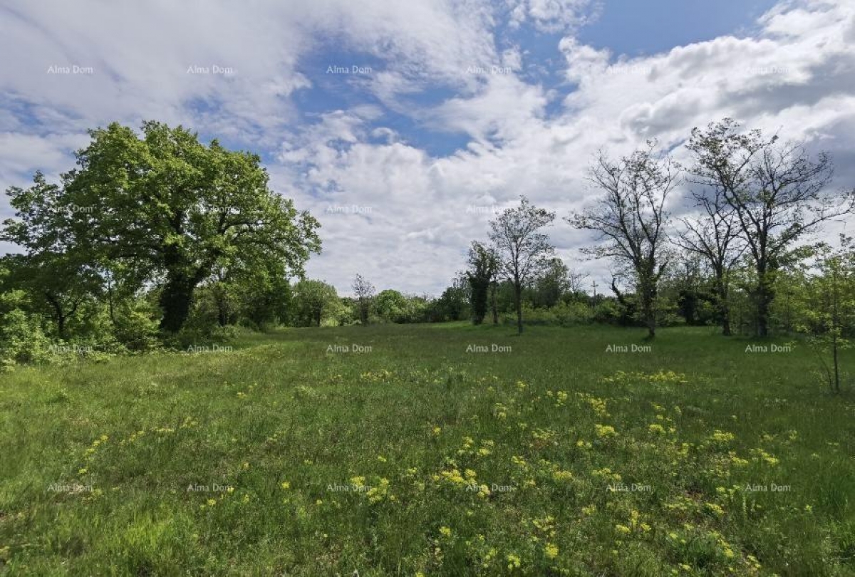 Building land Building land for sale, Višnjan