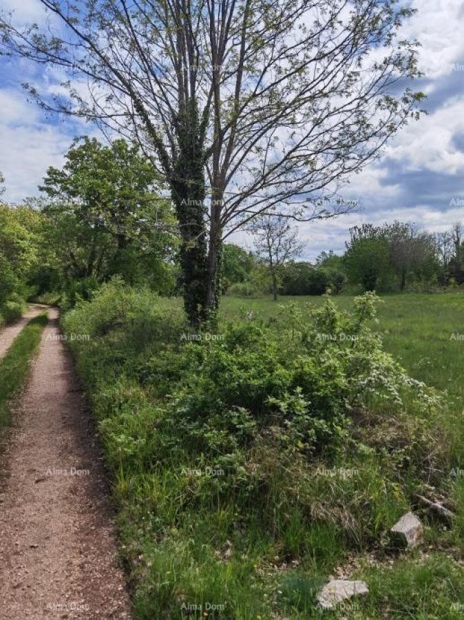 Bauland Bauland zum Verkauf, Višnjan