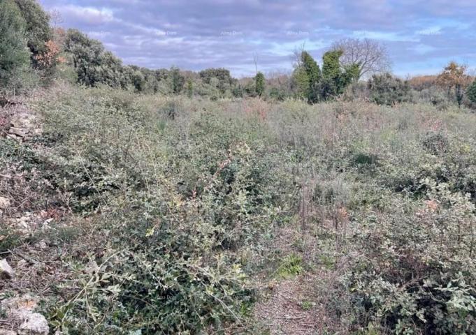 Landwirtschaftsgrundstück Ausgezeichnetes landwirtschaftliches Land in Medulin ​