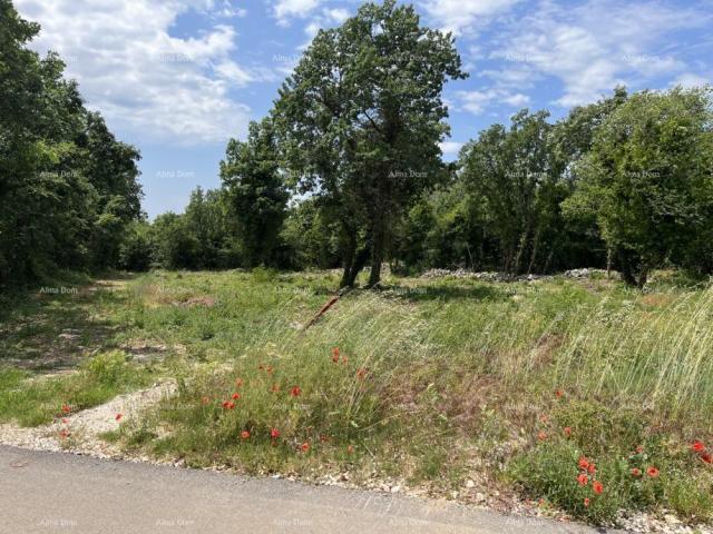 Building land Attractive building plot for sale, Sveti Lovreč