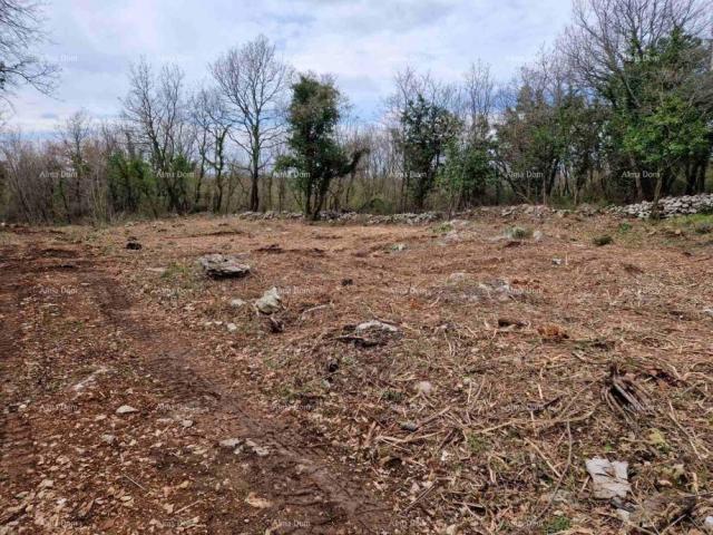 Building land Attractive building plot for sale, Sveti Lovreč