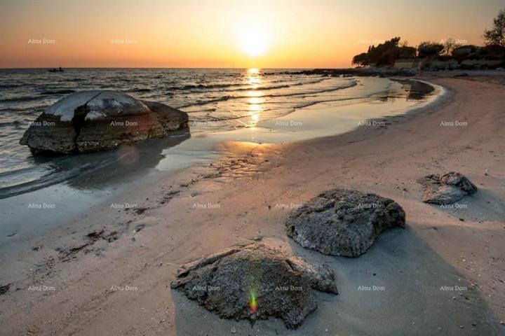 Kuća Prodaje se kuća na velikoj okućnici sa projektom, Zambratija, Umag