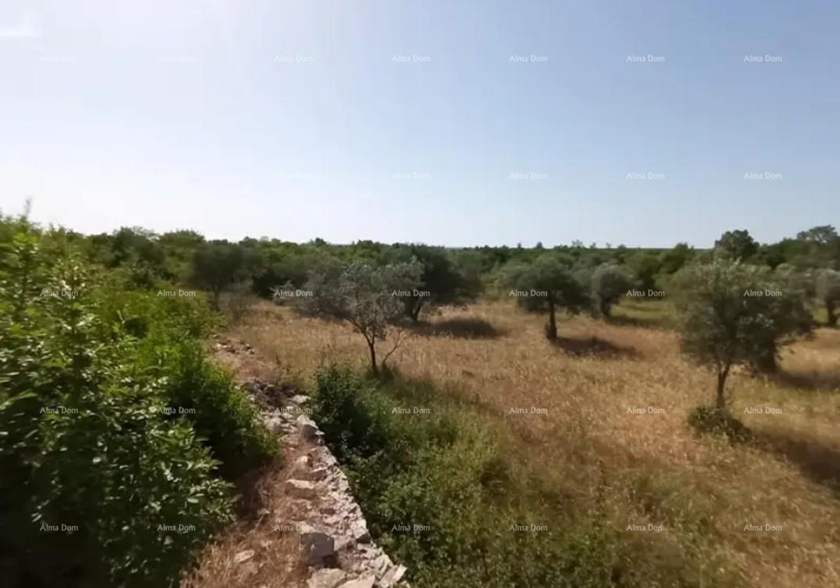 Landwirtschaftsgrundstück