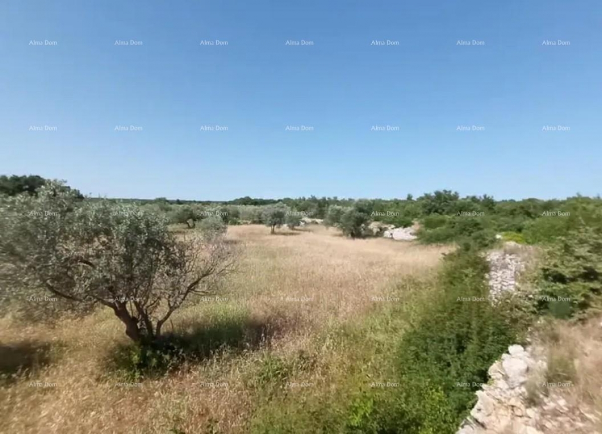 Landwirtschaftsgrundstück